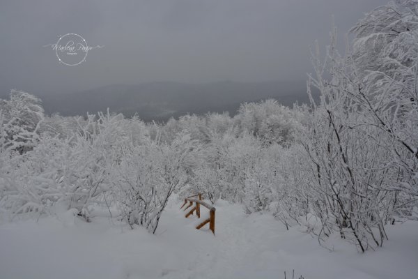 Zimowe Bieszczady
